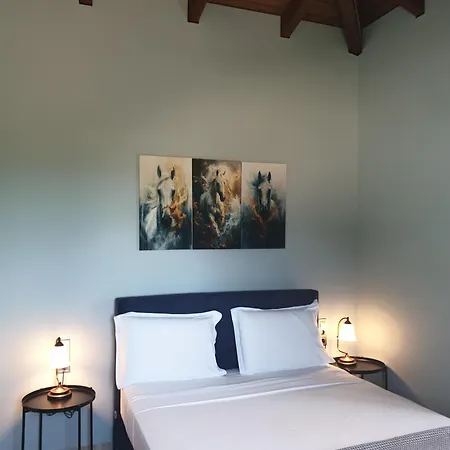 Apollonian Luxury شقة فاسيليكي